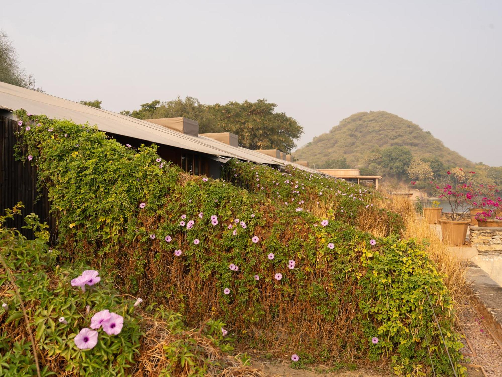 Raas Chhatrasagar, Nimaj, District Pali Kültér fotó