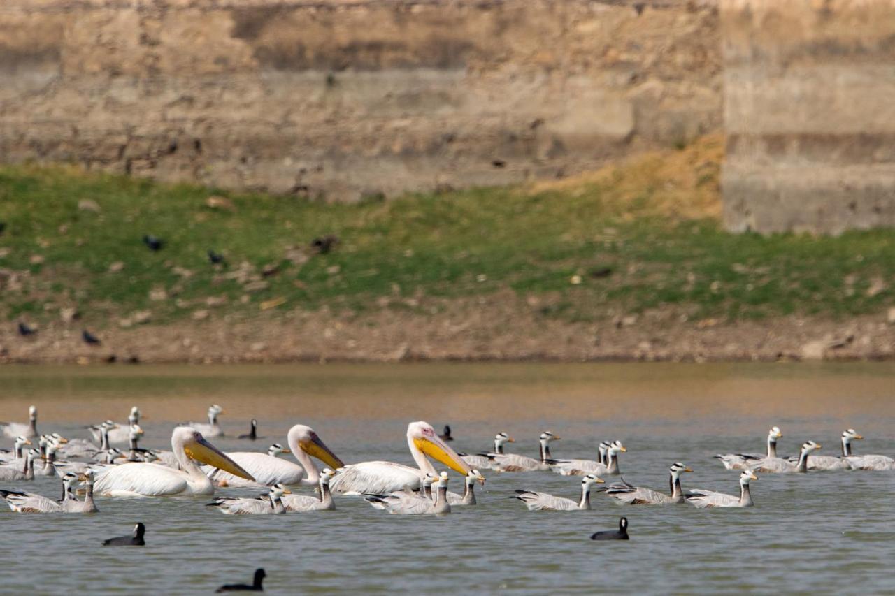 Raas Chhatrasagar, Nimaj, District Pali Kültér fotó